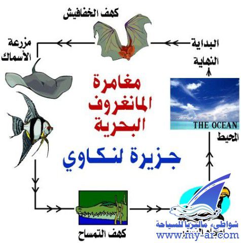 رحلة المنجروف البحرية لنكاوي